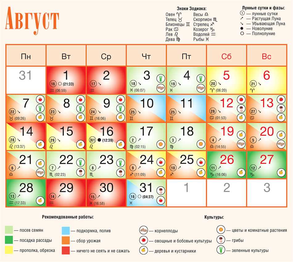 Выбор дней для занятий с комнатными цветами по лунному календарю