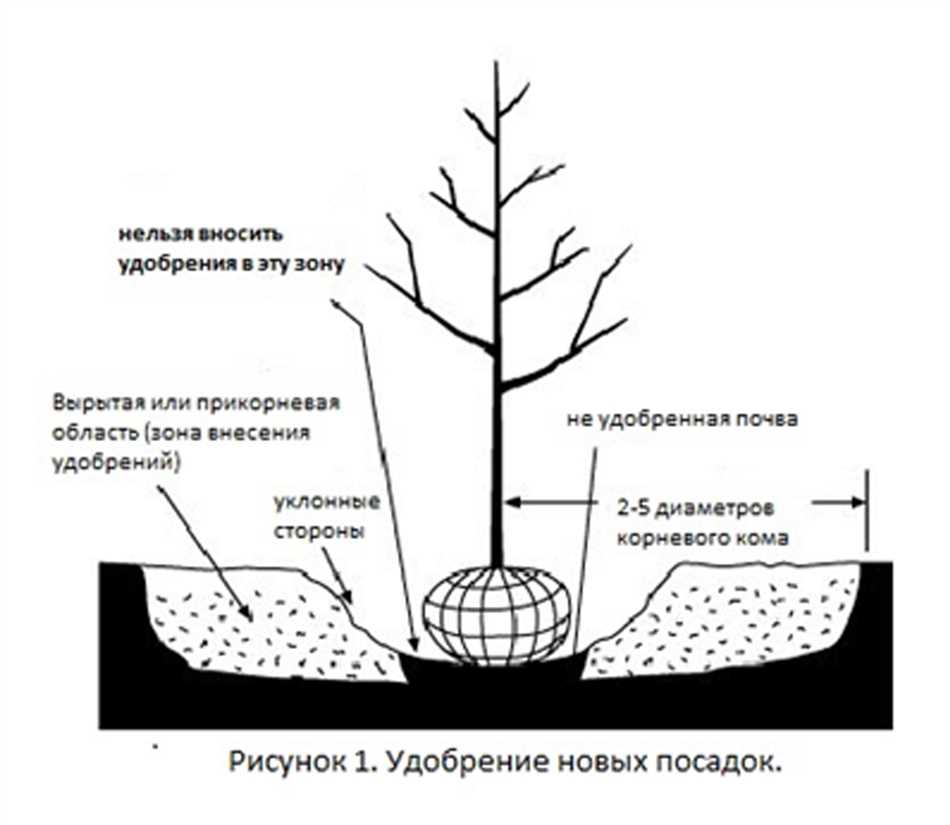 Подготовка почвы к внесению удобрений