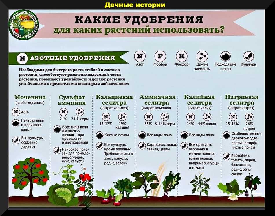 Воздействие времени суток на поглощение питательных веществ