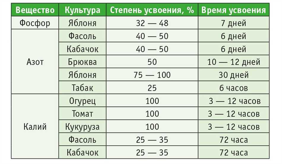 Влияние вечернего времени на подкормку