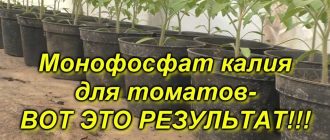 Как правильно разводить монофосфат калия - основные правила и советы