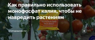 Вода для разведения монофосфата калия: горячая или холодная?