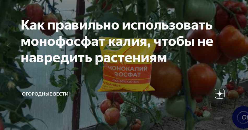 В какой воде разводить монофосфат калия в горячей или холодной?