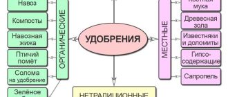 Удобрения зеленые удобрения: в какую группу они входят?