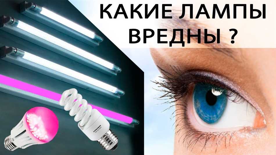 Как выбрать правильный искусственный свет для цветов